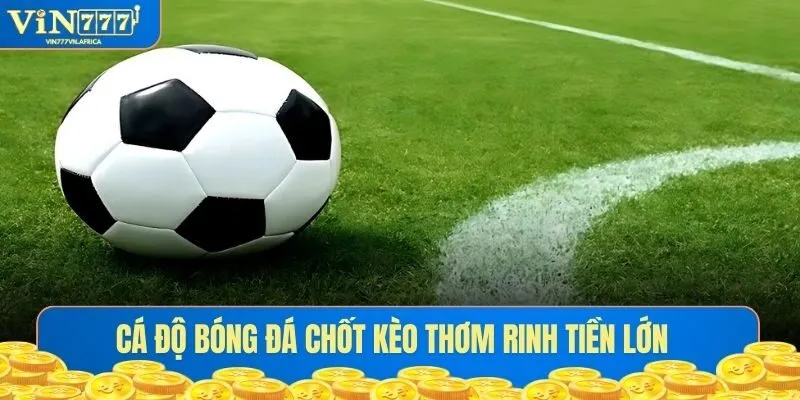 Cá độ bóng đá chốt kèo thơm rinh tiền lớn tại Vin777